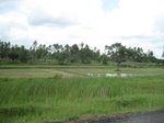 33258IMG_5588.JPG
