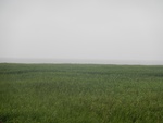 54511DSCN1793.JPG