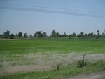 34533IMG_5516.JPG