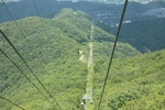 2024-08-05_13-55-12_C016B4B4-7CA8-4F58-9AEC-115E407F0BA3.jpeg