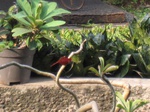 16571IMG_5357.JPG