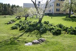 218IMG_4114.JPG