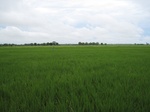 15749IMG_4837.JPG