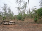 3898RIMG0202.JPG