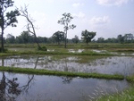34549RIMG0014.JPG