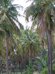 17561100_2822.JPG