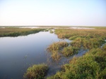441620071010gps 097-1.jpg