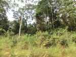 47450CIMG3787.JPG