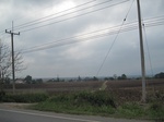 28109IMG_4910.JPG