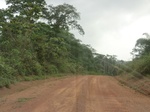 47706CIMG4043.JPG