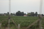 2024-08-05_16-08-55_11924997-2869-4FB4-AA57-7AD6747B164A.jpeg