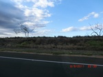 36383CIMG3628.JPG