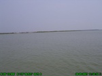 1125R0015298_tag.jpg