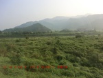39000CIMG1546.gps.jpg