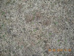 9489DSCN0936.JPG