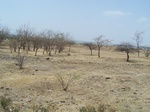 1767422042008(54).JPG