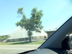 57894IMG_0855.JPG