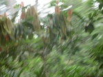 48809CIMG5146.JPG