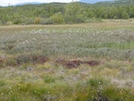 24916DSC00023.JPG
