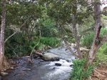 5520100_0889.JPG