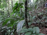 45743CIMG2828.JPG