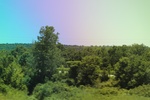2024-06-17_21-32-58_DC6C27B6-5836-45FF-93F4-667BF0B27B68.jpeg