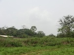 47978CIMG4315.JPG