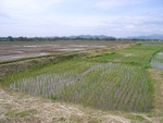 33601RIMG0266.JPG