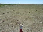29254CHEY20110505S.JPG