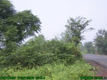 1162R0015030_tag.jpg