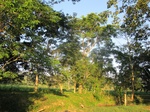 31923IMG_5712.JPG