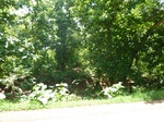 19540P1010387.JPG