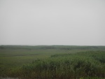 54512DSCN1794.JPG