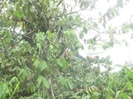 48694CIMG5031.JPG