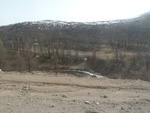24352P1010845.JPG
