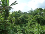 20358P1020215.JPG