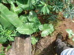 20117P1010968.JPG