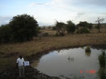 10900gt-106-wetland-water-hole-flood-plain-02.jpg