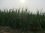 32901CIMG2040.JPG