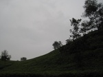 15030IMG_3843.JPG