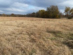 26390P1010502.JPG