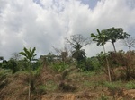 49481CIMG5818.JPG