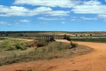 28676P1010693-1.JPG