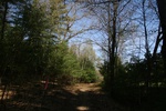 186IMG_4082.JPG