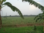 21918DSC08515.JPG