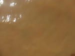 58134CIMG2440.JPG