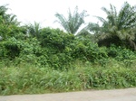 25703P1020120.JPG