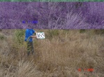 10956gt-165-wetland-dry-stream-bed-02.jpg