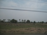 28165IMG_5024.JPG