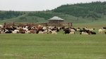 34063CIMG2254.JPG